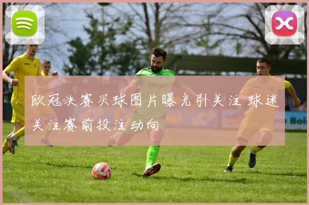 欧冠决赛买球图片曝光引关注 球迷关注赛前投注动向