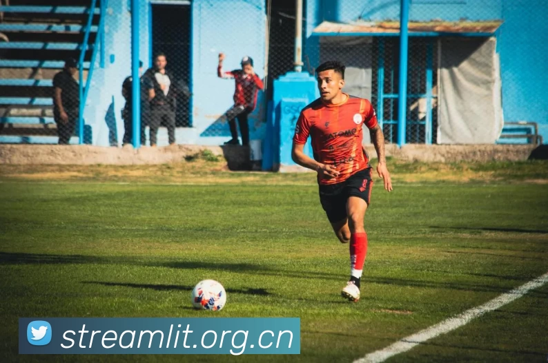 半岛网页版官网平台生态图